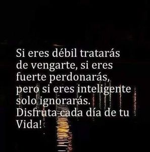 Meet your Posher, Lorenzo